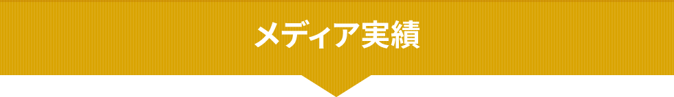 メディア実績